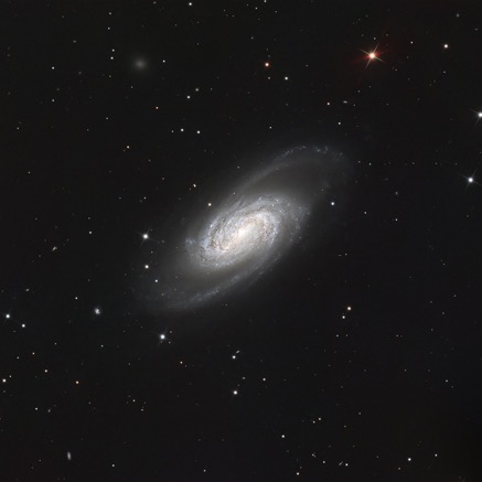 NGC 2903_1440px.jpg