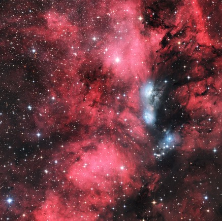 NGC6914 Ref-Schwan_1440.jpg